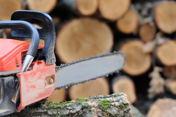 Tree Removal and Trimming